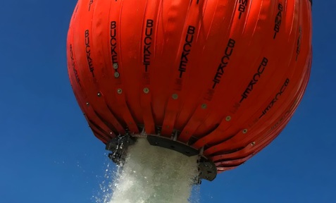Bambi Bucket Cut Out