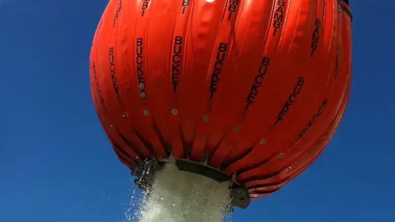 Bambi Max Closeup Action